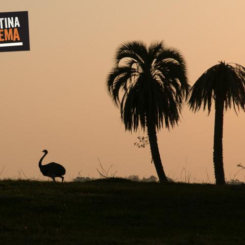 Horse Riding, Birdwatching and Gaucho Experience in Corrientes