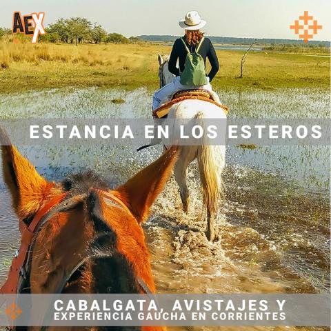 Cabalgata y experiencia de Estancia en Corrientes - Atravesando humedales del Litoral