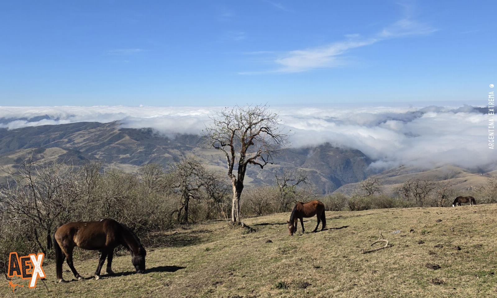 El Jardín de la República - Tafi del Valle a El Siambón - Trekking - Tucumán - Foto 0 - 