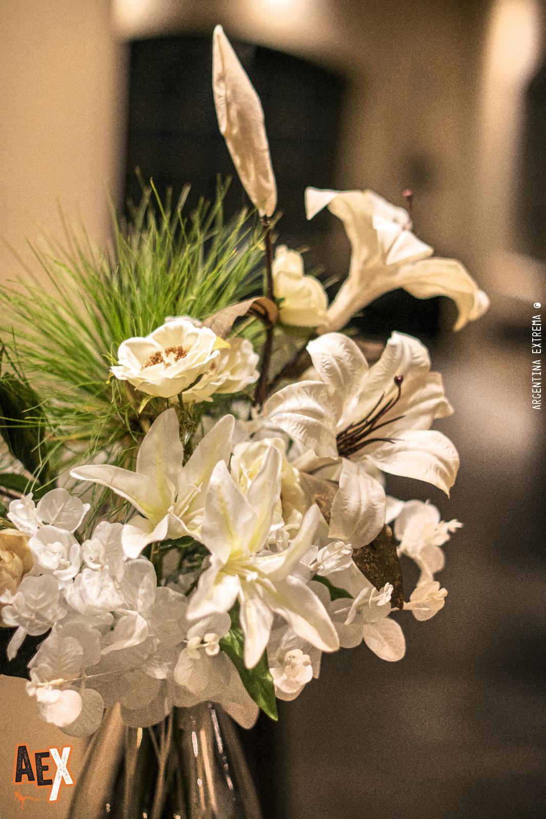 Evento Raona - Mansion Convento San Francisco - Foto 0 - 