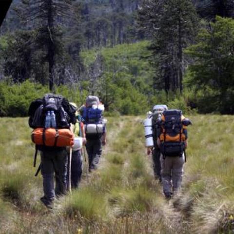 trekking norquinco rucachoroi quillen parque nacional lanin 1