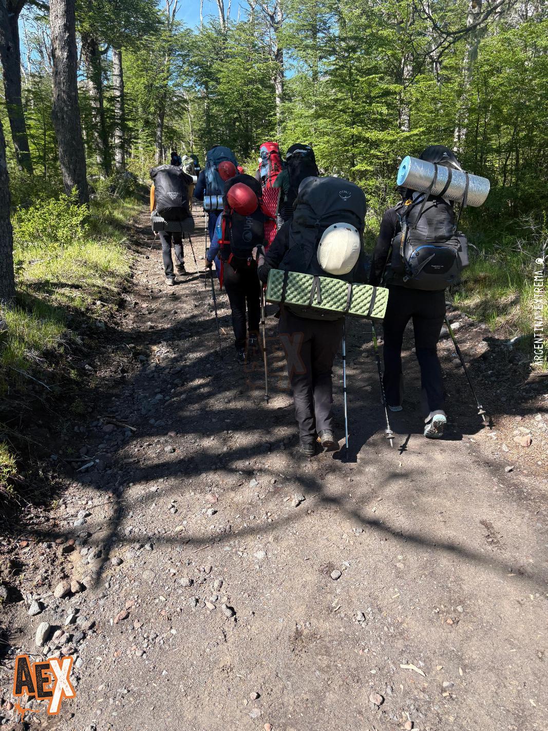 en el bosque de Ñires - en el bosque de Ñires