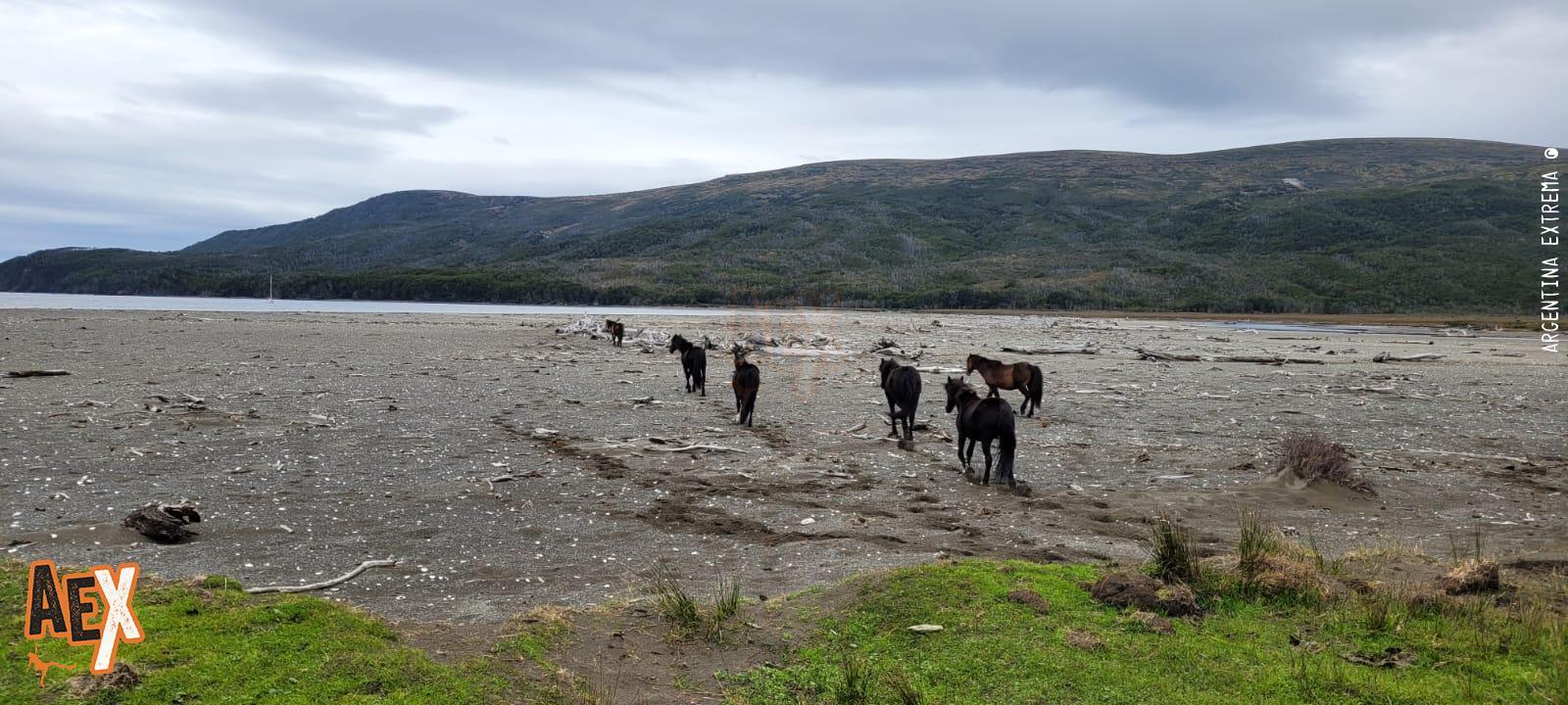 Península Mitre - Trekking de Bahia Aguirre a Moat - Tierra del Fuego - Foto 0 - 