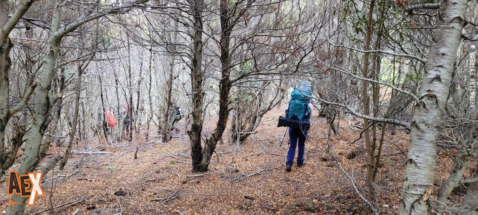 Península Mitre - Trekking de Bahia Aguirre a Moat - Tierra del Fuego - Foto 0 - 