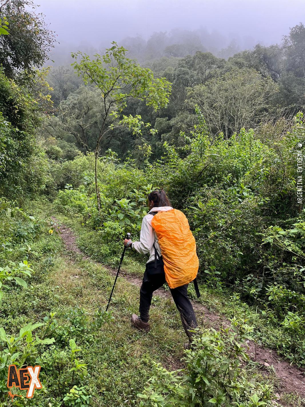 Tafi del Valle - El Siambón - Trekking - Tucumán - Foto 0 - 