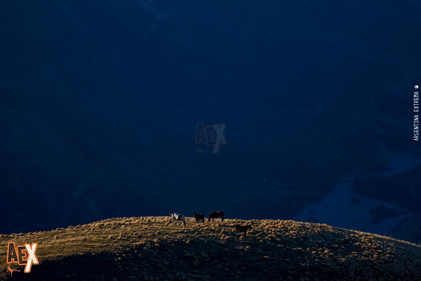 Trekking de las Nubes - Silla del Inca - Quebrada del Toro - San Lorenzo - Salta - Foto 34 - 