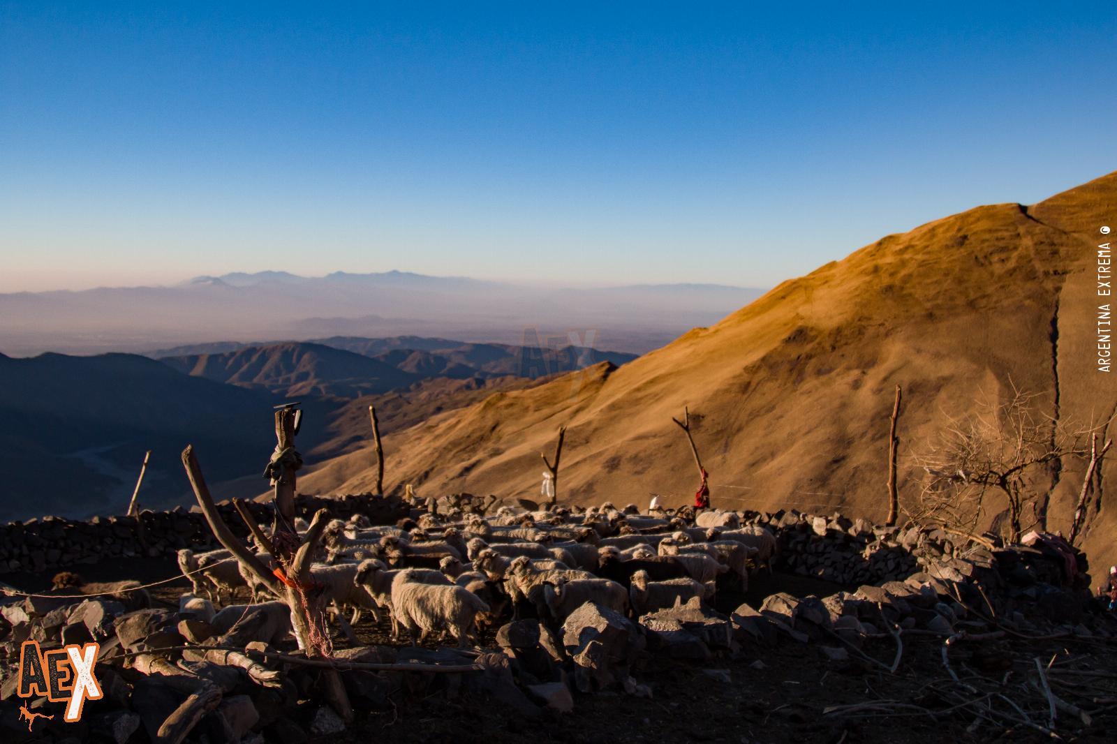 Trekking de las Nubes - Silla del Inca - Quebrada del Toro - San Lorenzo - Salta - Foto 33 - 