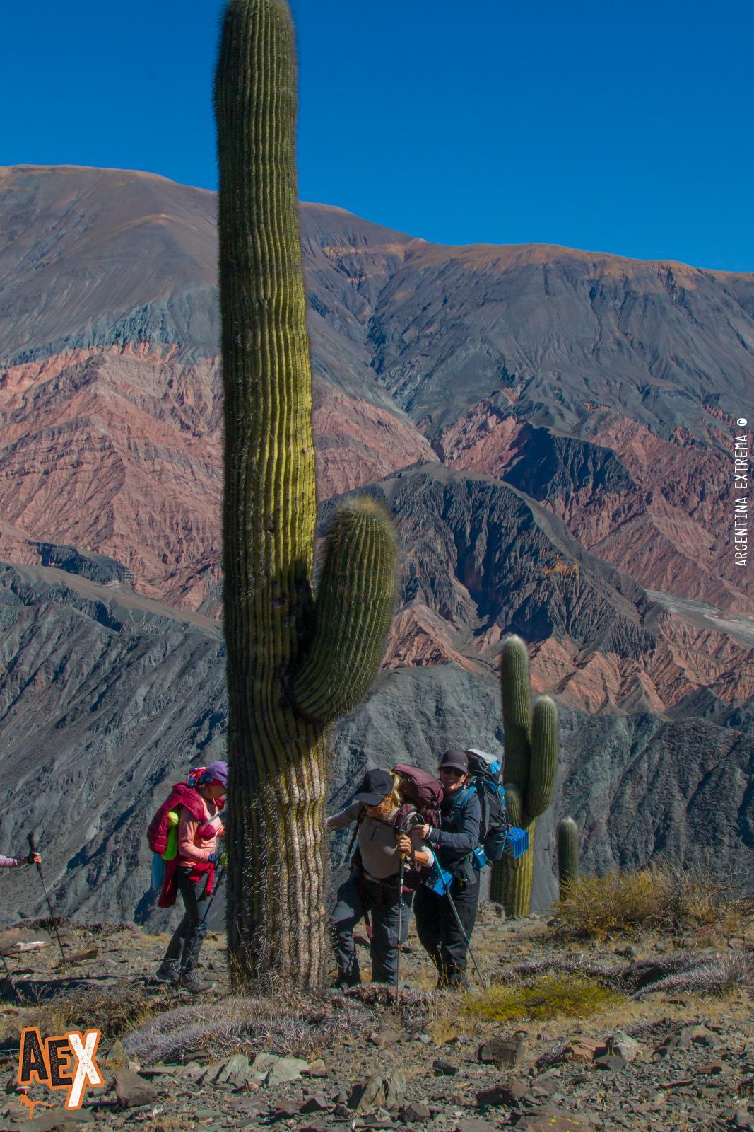 Trekking de las Nubes - Silla del Inca - Quebrada del Toro - San Lorenzo - Salta - Foto 13 - 