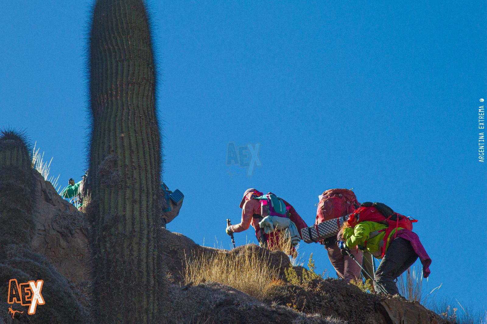 Trekking de las Nubes - Silla del Inca - Quebrada del Toro - San Lorenzo - Salta - Foto 5 - 