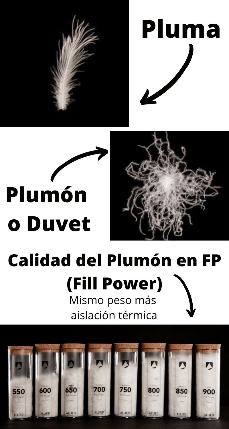 Comparacion de plumon con pluma y calidad