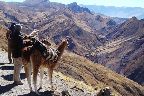 Trekking de travesia de las Yungas a la Quebrada de 