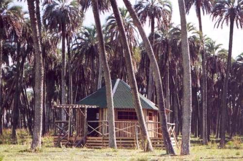 Complejo aurora
