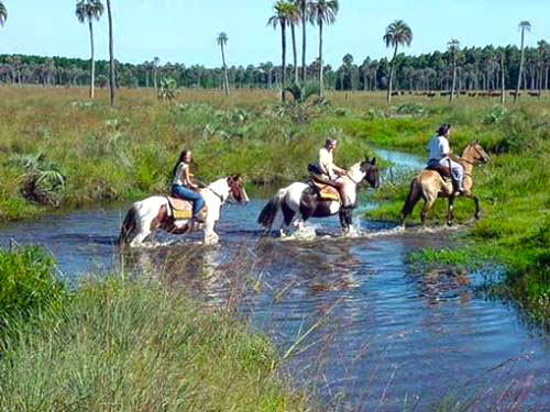 Cabalgata por la reserva