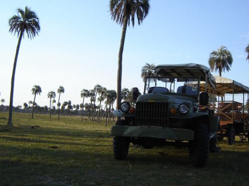 Nuestro transporte dentro de la reserva