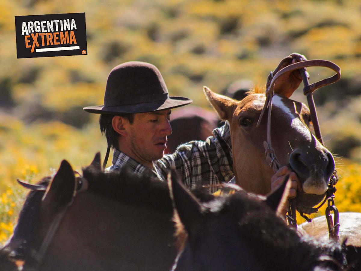 cabalgata cordillerana por la senda de los arrieros 4 dias719