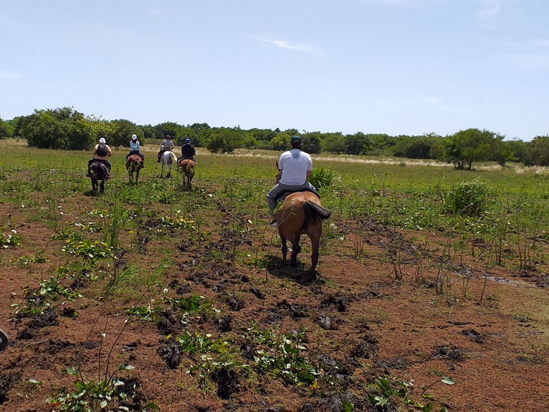 Cabalgata Pampeana - Punta Indio, Bahia San Borombón - Buenos Aires