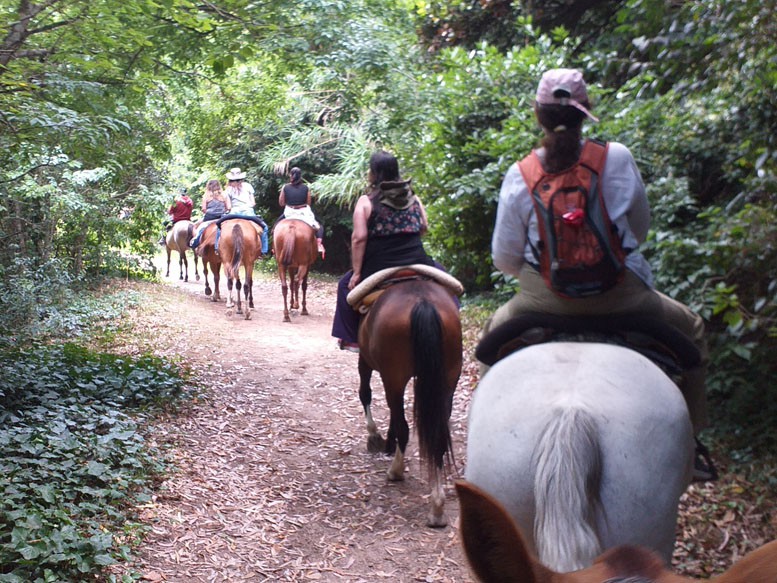 Cabalgata Pampeana - Punta Indio, Bahia San Borombón - Buenos Aires