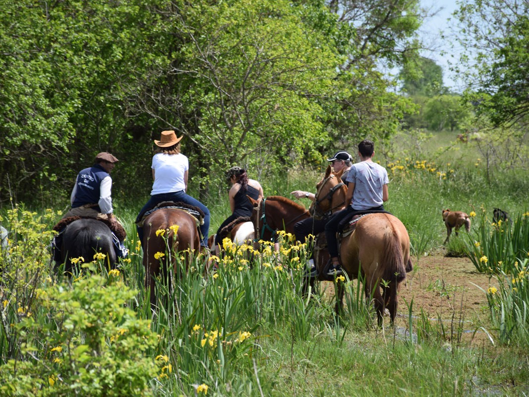 Cabalgata Pampeana - Punta Indio, Bahia San Borombón - Buenos Aires