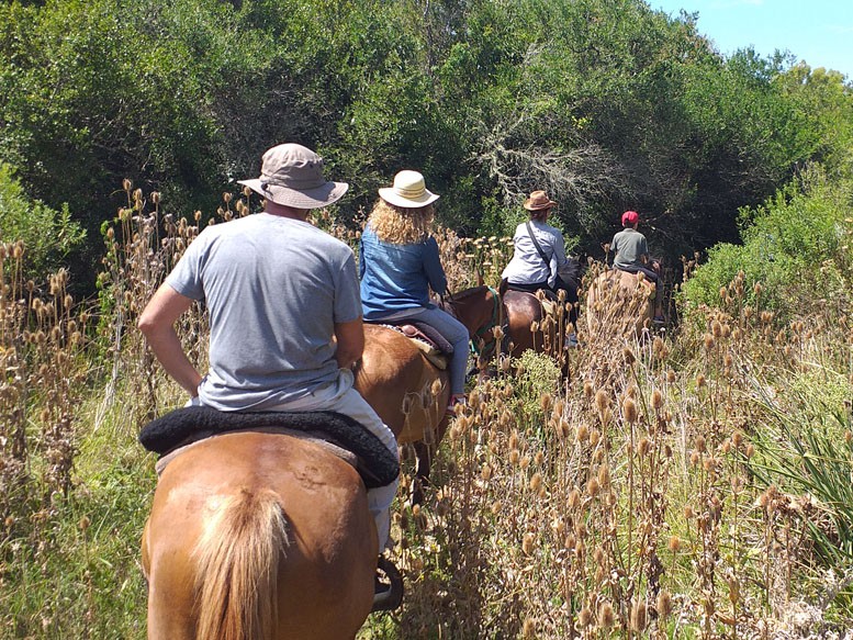 Cabalgata Pampeana - Punta Indio, Bahia San Borombón - Buenos Aires