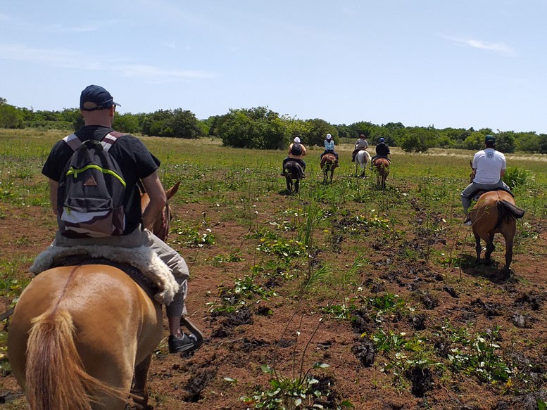 Cabalgata Pampeana - Punta Indio, Bahia San Borombón - Buenos Aires