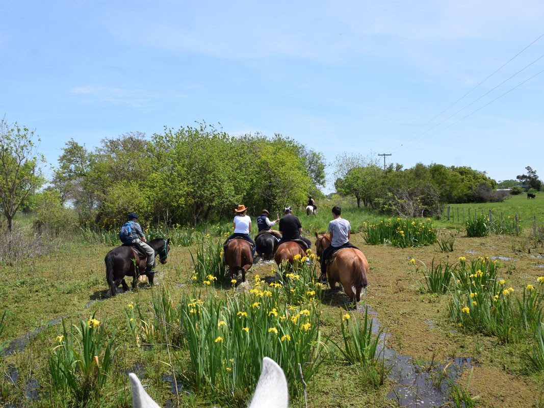 Cabalgata Pampeana - Punta Indio, Bahia San Borombón - Buenos Aires