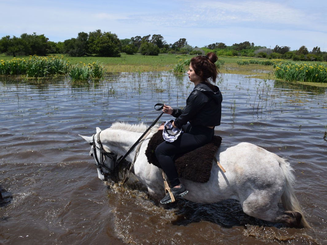 Cabalgata Pampeana - Punta Indio, Bahia San Borombón - Buenos Aires