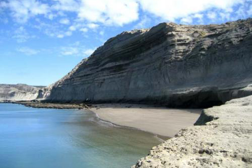 fotosafari avistajes de ballenas peninsula valdes puerto madryn 1