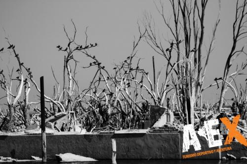 fotosafari ex villa turistica epecuen carhue 2