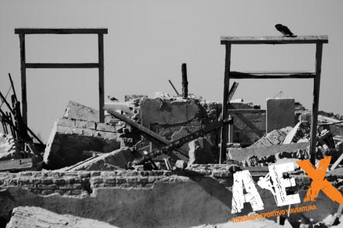 fotosafari ex villa turistica epecuen carhue 3