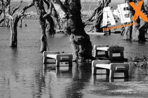 fotosafari ex villa turistica epecuen carhue 4