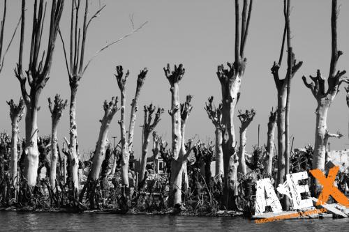 fotosafari ex villa turistica epecuen carhue 5