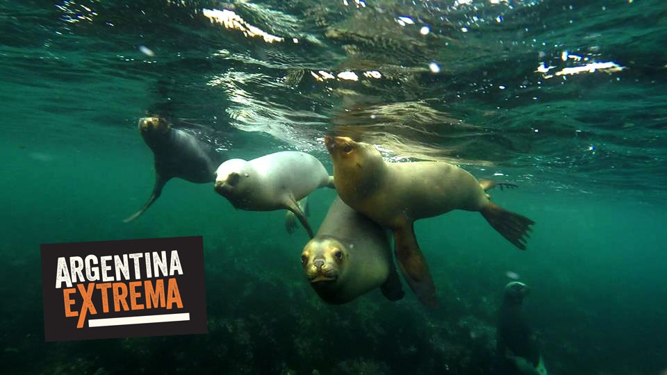fotosafari y aventura en puerto madryn y peninsula valdes218