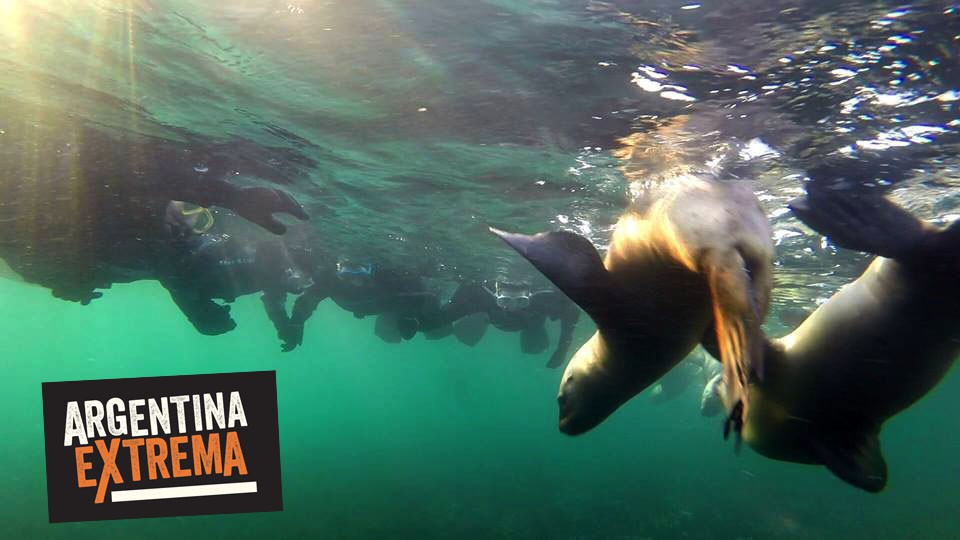 fotosafari y aventura en puerto madryn y peninsula valdes492