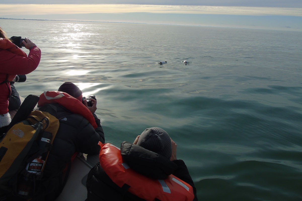 fotosafari y aventura en puerto madryn y peninsula valdes814