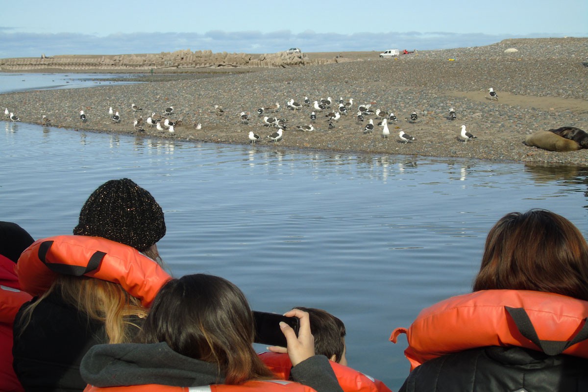 fotosafari y aventura en puerto madryn y peninsula valdes904