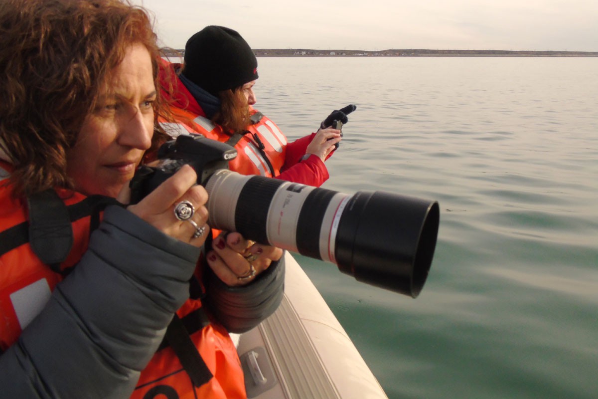 fotosafari y aventura en puerto madryn y peninsula valdes912