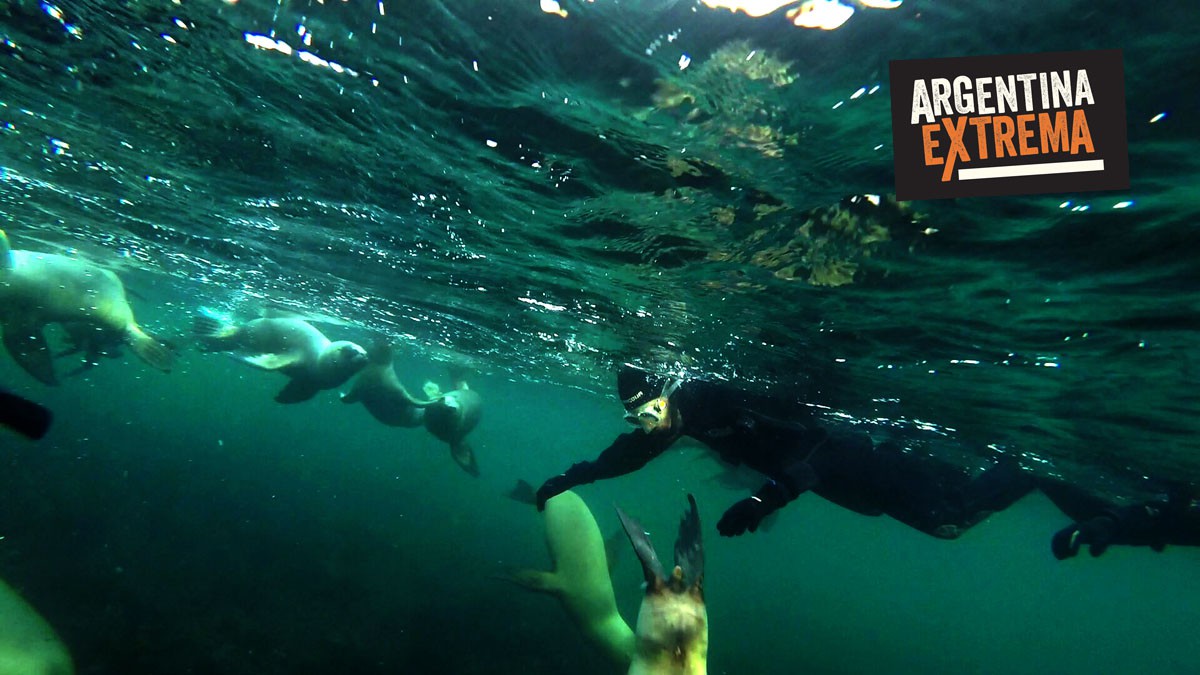 fotosafari y aventura en puerto madryn y peninsula valdes983