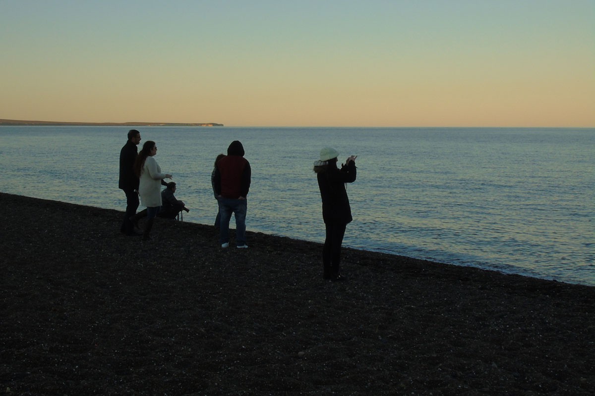 fotosafari y aventura en puerto madryn y peninsula valdes995