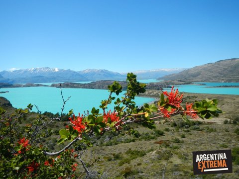 Trekking de los Glaciares - Lago del Desierto - Lago Ohiggins - El Chaltén - Candelario Mansilla