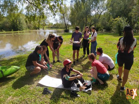 Actividad en equipo