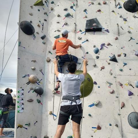 Taller de escalada (1/2 jornada) - [ACTIVIDAD GEM DEL MES]