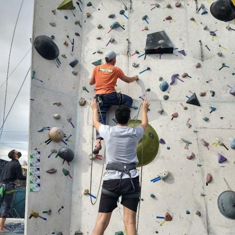 Escalada en palestra - muro - rocódromo - Buenos Aires