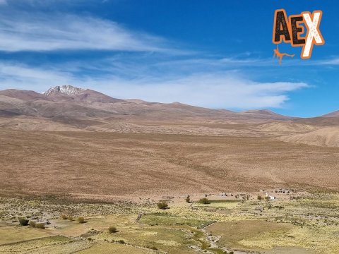 Nevado de Chañi - ascenso ruta Oeste  - El Moreno - Jujuy - trekking y montañismo de altura - 5896 msnm