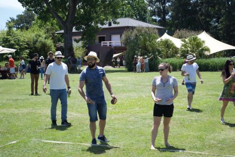 Juegos de campo
