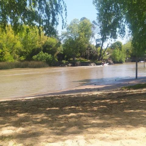 Jornada de Trabajo y Naturaleza en el Delta de Tigre