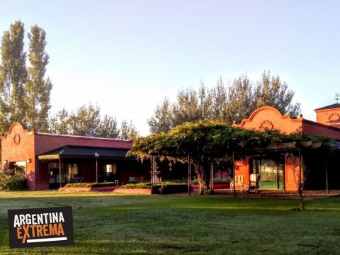 Team Building Day at a Pampas Ranch