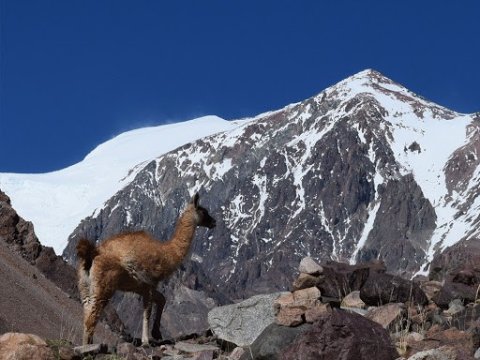 Ascenso al Cerro Mercedario - Las 10 más altas de América - San Juan