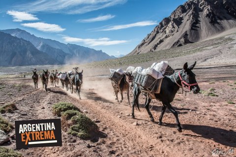 Trekking Cerro Aconcagua - Plaza Francia y Plaza de Mulas (4350 msnm) - Coloso de América 