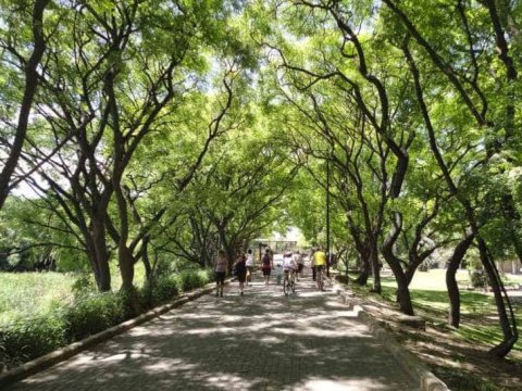 actividad del mes gem caminatlon urbano 172