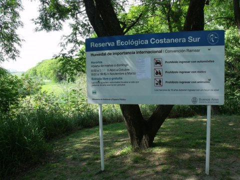 actividad del mes gem caminatlon urbano 436